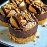Delicious no-bake chocolate peanut butter cheesecake bites on a white plate
